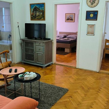 Apartament Trosoban Stan U Zenici Zenica Zewnętrze zdjęcie